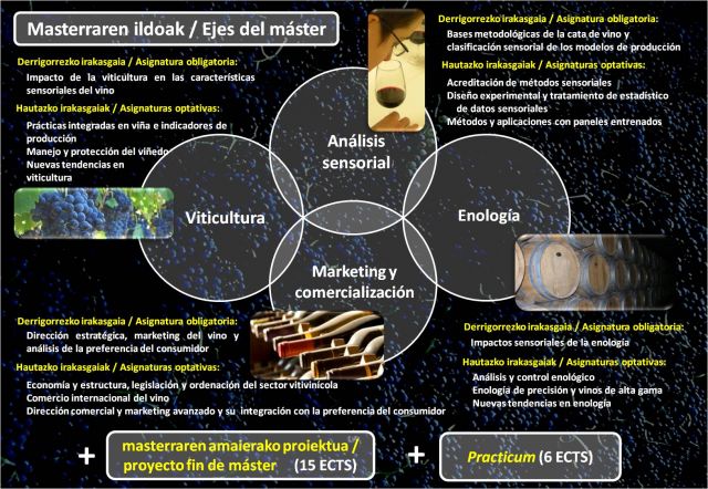 master enologa innovadora 2.jpg